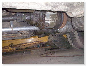 mv_restoration02g009002.jpg