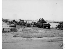 mv_restoration02g009011.gif