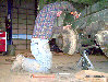 mv_restoration02g013026.jpg