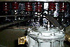 mv_restoration02g014026.jpg