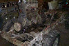 mv_restoration02g014035.jpg