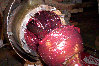 mv_restoration02g014048.jpg